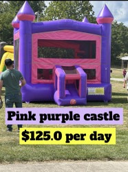 Pink and Purple Castle