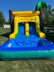 Tropical Dual Water Slide