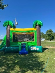 IMG 8527 1772147445 Tropical Dual Water Slide