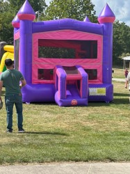 Pink and Purple Castle